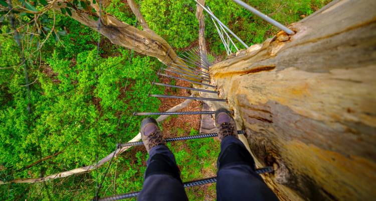 Wild South West Australia – 14 Days of Action, Nature & Discovery - WA NT TOURS 9