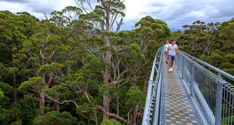 Wild South West Australia – 14 Days of Action, Nature & Discovery - WA NT TOURS 10