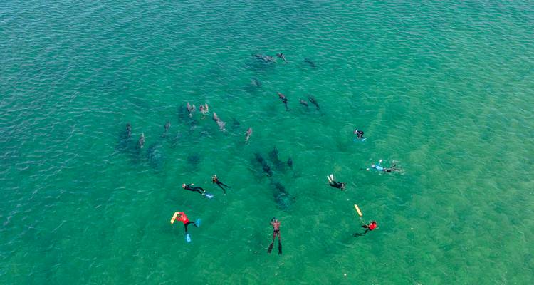 Wild South West Australia – 14 Days of Action, Nature & Discovery - WA NT TOURS 3