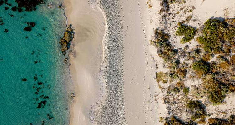 Wild South West Australia – 14 Days of Action, Nature & Discovery - WA NT TOURS 7