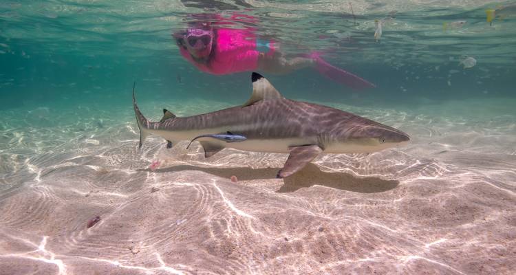 PNG Small Group Adventure – Highlands & Islands Tour - No Limit Adventures 4
