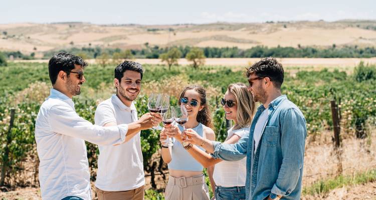 Ségovie, Avila et Tolède en 2 jours depuis Madrid - WORLD EXPERIENCE 1