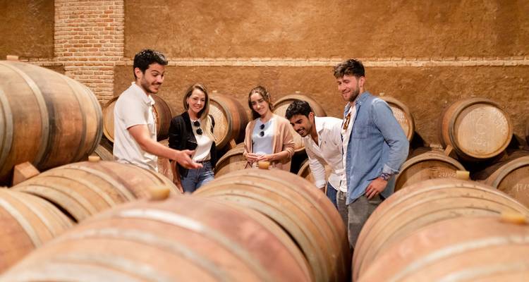 Ségovie, Avila et Tolède en 2 jours depuis Madrid - WORLD EXPERIENCE 4