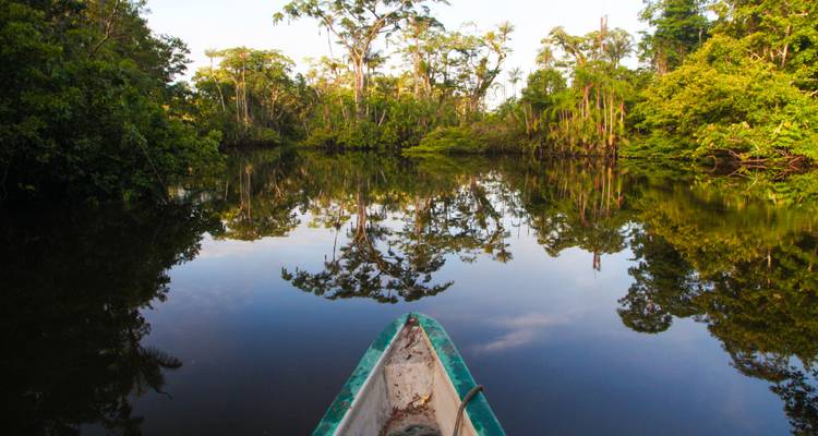 Vue de la forêt depuis un bateau sur une rivière calme.