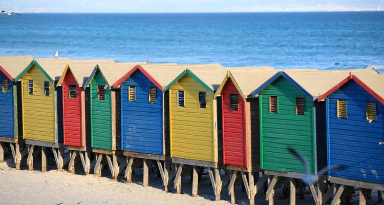 Bunte Strandhütten reihen sich an einem sandigen Strand am Meer auf.