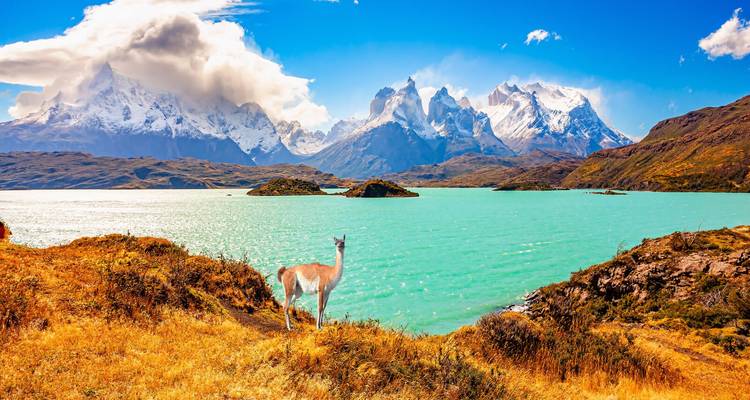 Chile round trip - experience Chile intensively for 23 days - Oasis Travel 5