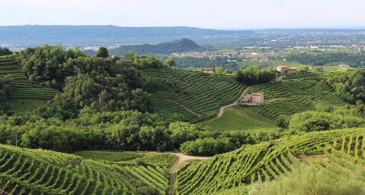 Spotlight on Northern Italy featuring Venice, Verona & the Dolomites (2026) - Collette 5