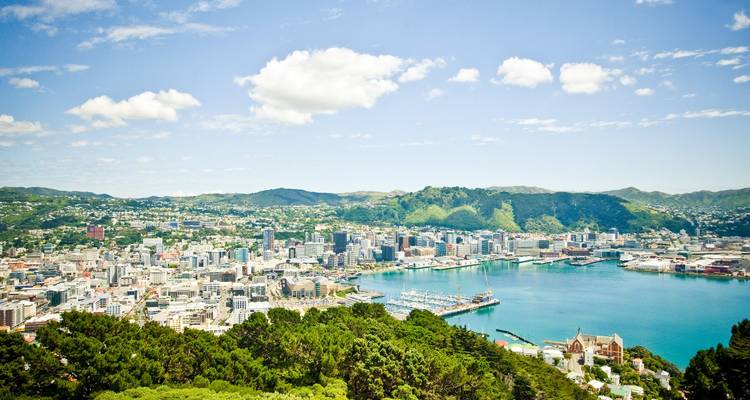 Panoramic view of Wellington city and harbor