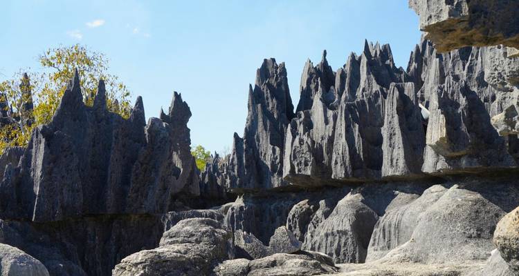 In the Land of baobabs and tsingy (9 destinations) - DIAMIR Erlebnisreisen 10