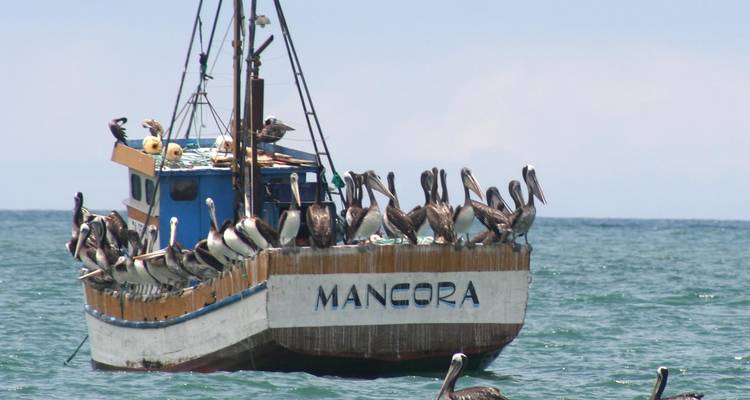 Recreation on the Coast of Peru - Gebeco 4