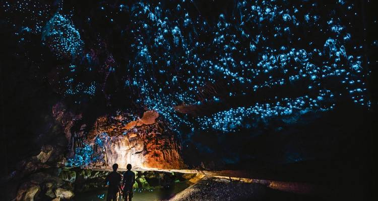 À l'intérieur d'une grotte de vers luisants, des milliers de points bioluminescents bleus illuminent la caverne tandis que deux visiteurs regardent vers le haut.