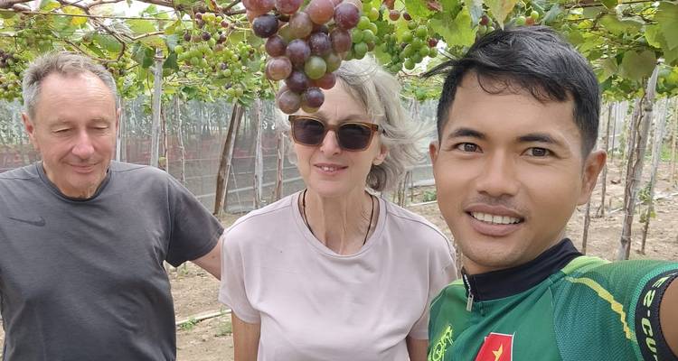 Groupe dans un vignoble avec des raisins au-dessus.