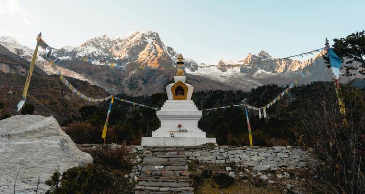 3-Night Ayurveda & Yoga Escape: Revitalize Your Body with Ancient Healing Techniques - The Tour Trek and Travel Nepal Pvt. Ltd 5