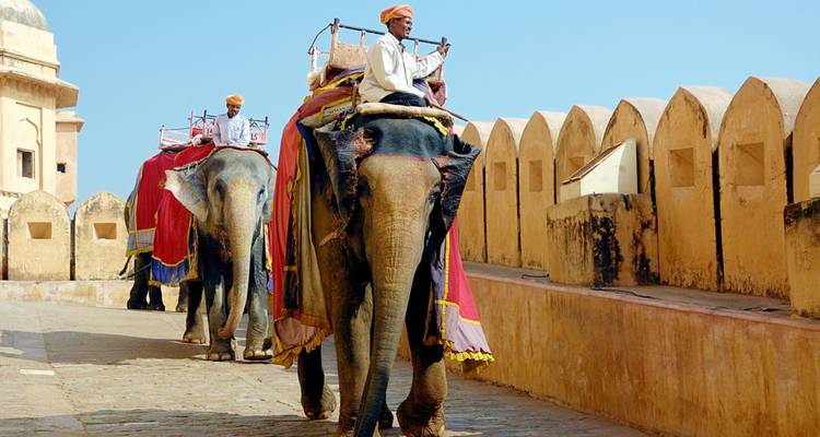 Des éléphants avec des cavaliers lors d'une visite touristique.