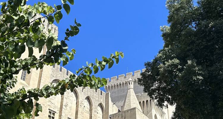 Les créneaux de pierre et les fenêtres gothiques d'un palais historique encadrés par des branches feuillues.