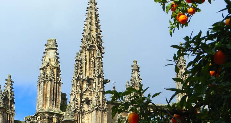 Les flèches des cathédrales gothiques s'élevant au-dessus des orangers chargés de fruits sous des cieux dégagés.