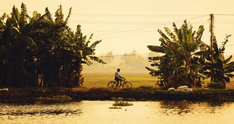 Ein Mann, der auf einem malerischen ländlichen Weg radelt, der von Bananenbäumen gesäumt ist.
