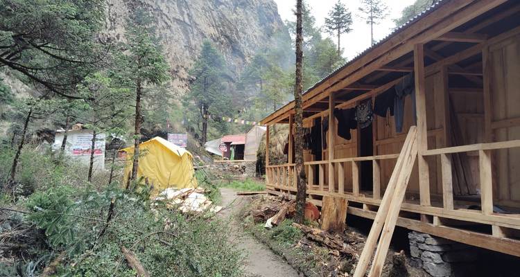 Cabañas de madera con ropa tendida, ubicadas en una zona montañosa boscosa.