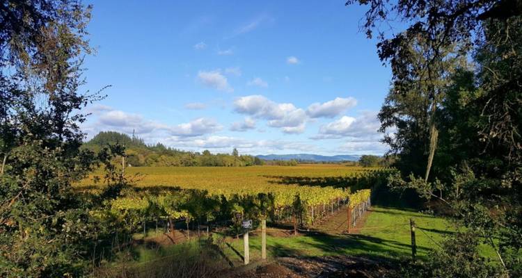Circuit en petit groupe de 5 jours en Californie (côtes et vignobles, vagues et vins), réservé aux femmes - Bindlestiff Tours 1