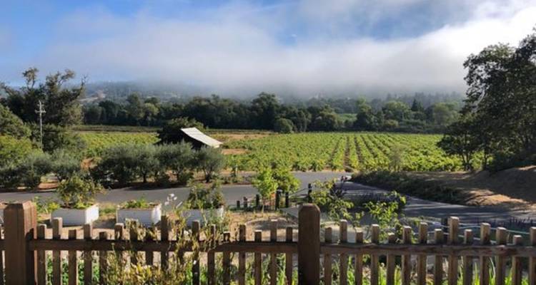 Circuit en petit groupe de 5 jours en Californie (côtes et vignobles, vagues et vins), réservé aux femmes - Bindlestiff Tours 3
