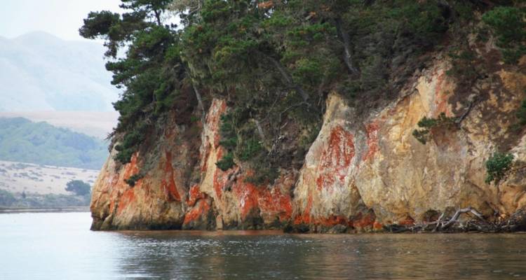 Circuit en petit groupe de 5 jours en Californie (côtes et vignobles, vagues et vins), réservé aux femmes - Bindlestiff Tours 8