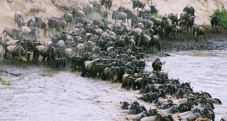 Kenya round trip and swimming - Highlights of Kenya - Oasis Travel 1
