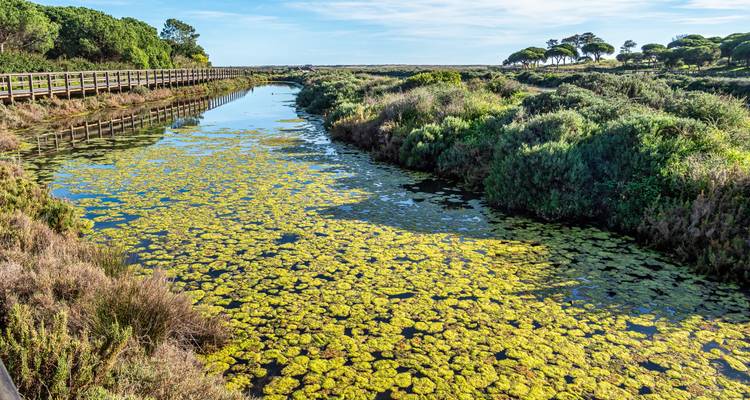Le Portugal dans l'assiette : un road trip plein de saveurs - Worldee 7