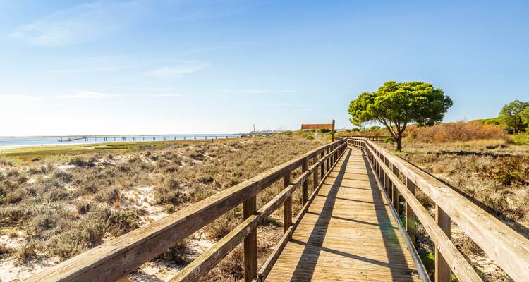 Le Portugal dans l'assiette : un road trip plein de saveurs - Worldee 6