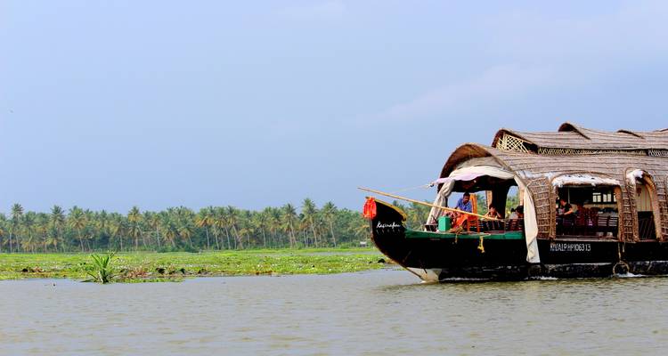 Woonboten op een serene binnenwater met palmbomen.
