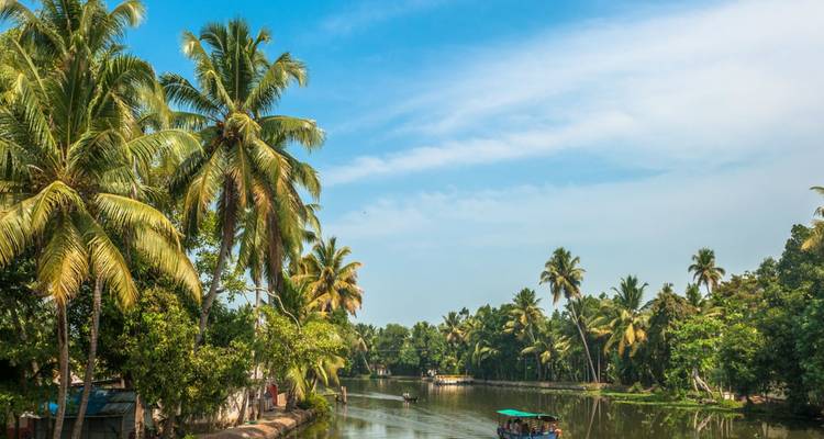 Een schilderachtig riviergezicht met tropische palmbomen.