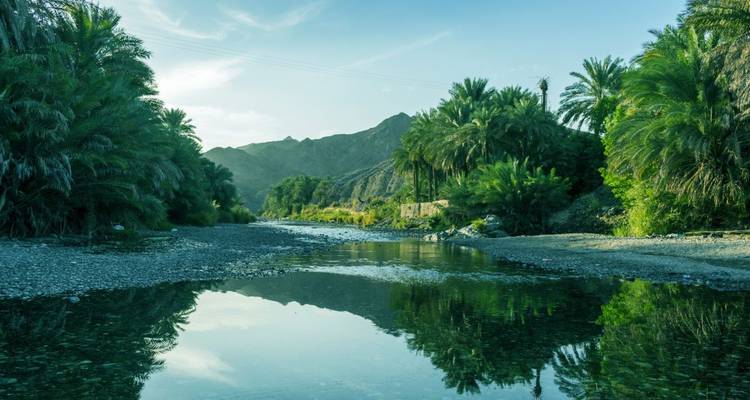 Encens, désert et oueds sauvages (32 destinations) - DIAMIR Erlebnisreisen 6