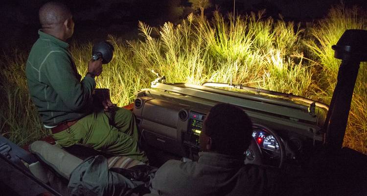 SAFARI DE NUIT AU LAC MANYARA - Johnadventures 3