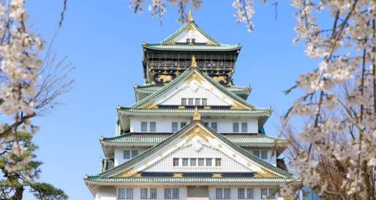 8 jours Best of Japan Famille Petit groupe (Max 15)(Hôtels 4 étoiles) - UME Travel Co. Ltd 6