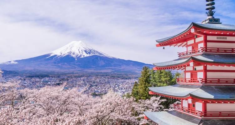 9 jours - Best of Japan Cherry Blossom Tour 2026 | Expérience Sakura en petit groupe - UME Travel Co. Ltd 2