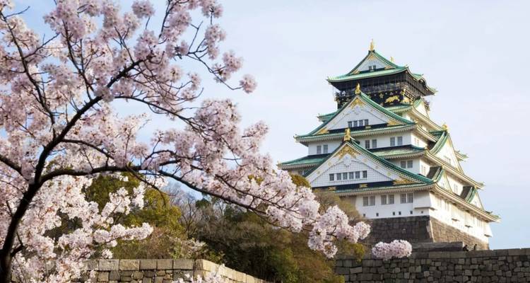 9 jours - Best of Japan Cherry Blossom Tour 2026 | Expérience Sakura en petit groupe - UME Travel Co. Ltd 10