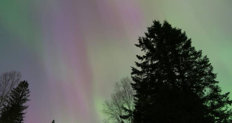 Chasse aux aurores boréales - Alaska, États-Unis - WeVenture 8