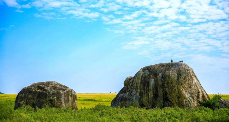Große Felsbrocken auf einer grasbewachsenen Ebene mit einer Person, die auf einem steht.