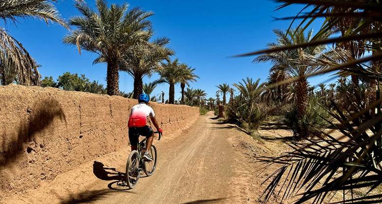 Cycliste sur un sentier de terre bordé de palmiers.