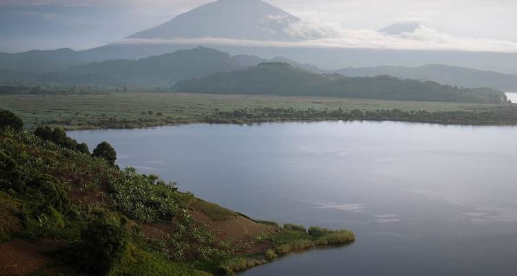 Lac serein bordé de plantations de bananiers avec un volcan enveloppé de brume s'élevant en arrière-plan.