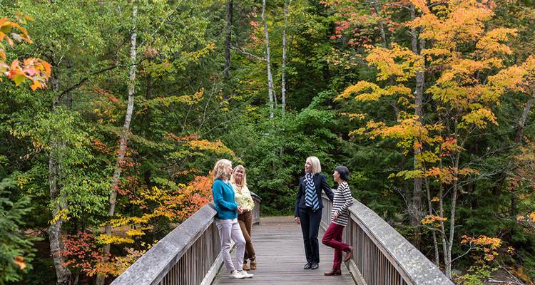 Quatre personnes parlant sur un pont entouré de feuillage d'automne.