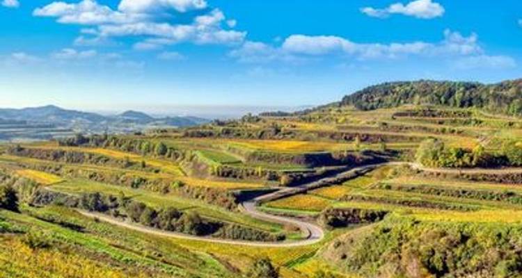 Splendeur d'automne sur le Rhin : Croisière et randonnées en Rhénanie (croisière de port à port) - CroisiEurope River Cruises 7