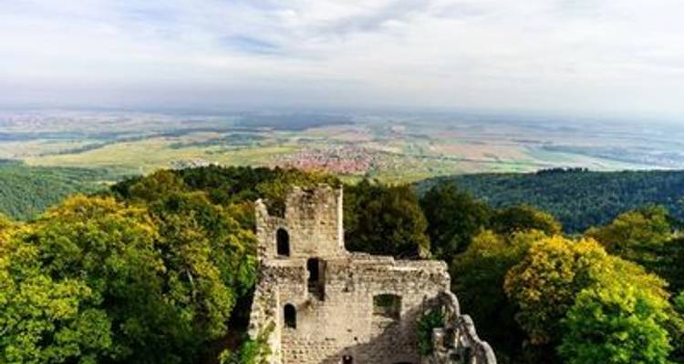 Splendeur d'automne sur le Rhin : Croisière et randonnées en Rhénanie (croisière de port à port) - CroisiEurope River Cruises 4