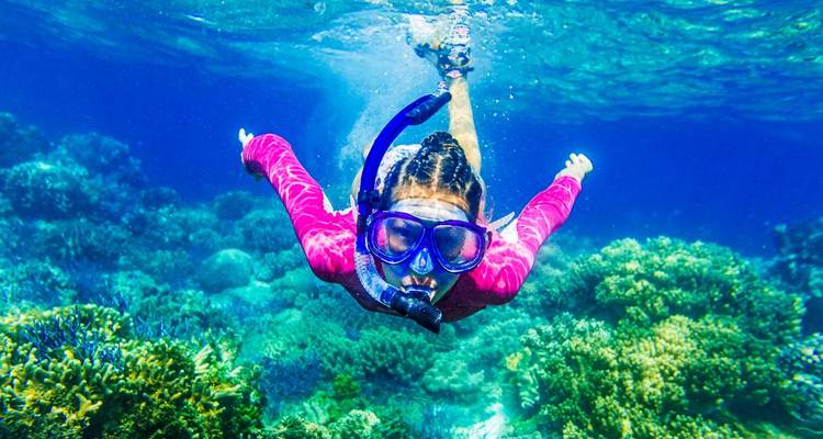 Personne faisant de la plongée avec tuba au-dessus d'un récif de corail.