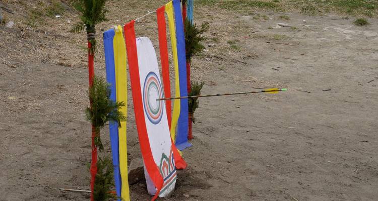 Color-striped Bhutanese archery target stands outdoors with an arrow dead-center.