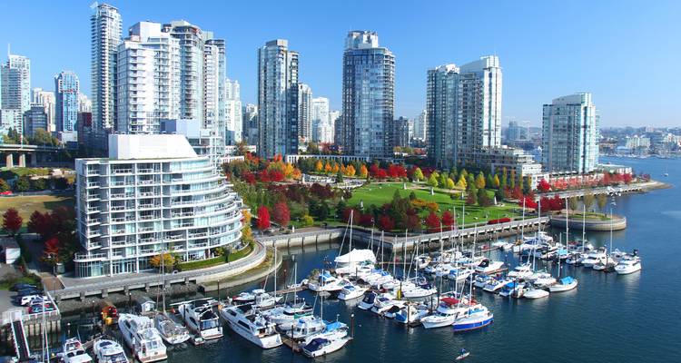 Horizon de Vancouver avec marina et arbres d'automne colorés.