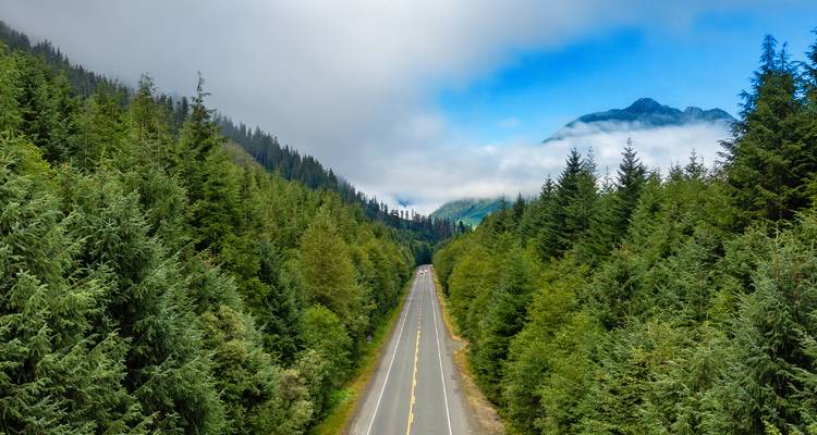 Une autoroute droite traverse une dense forêt de conifères vers des montagnes côtières couvertes de brume en Colombie-Britannique.