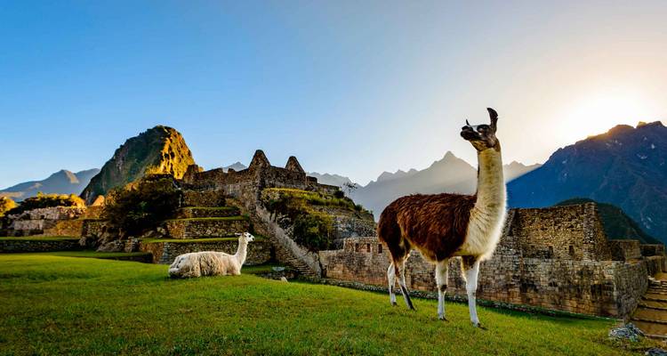 The Soul of Peru - Authentic Ecuador 4