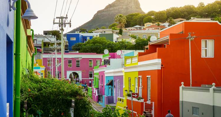 Lebendige regenbogenfarbige Gebäude und üppige Begrünung des Bo-Kaap mit dem Signal Hill im Hintergrund.