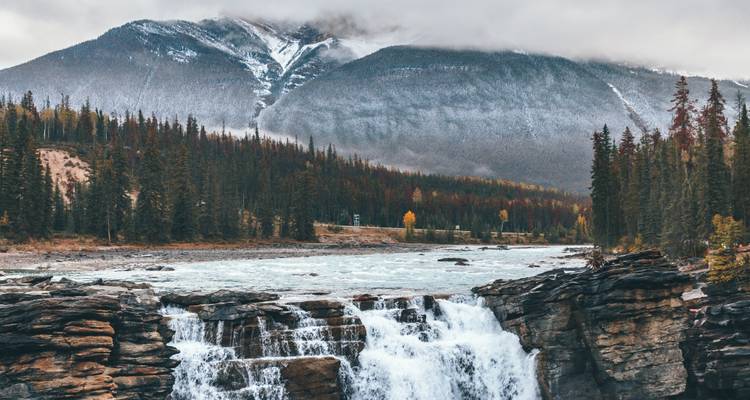 Majestic Rockies - Scenic Luxury Cruises & Tours 4