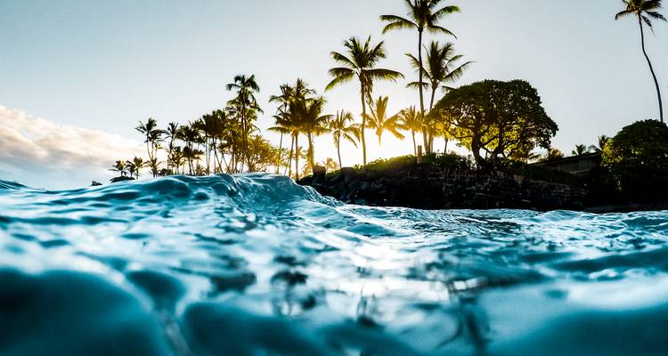 Ocean view with palm trees and waves, sun setting in the background.